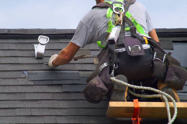 Best Roofing Contractor Near Me  in Big Rapids, MI
