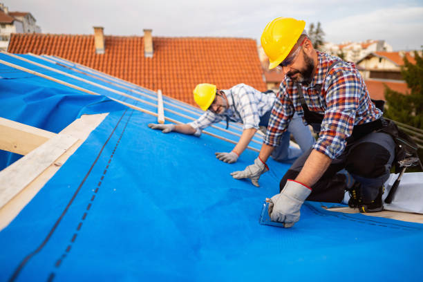 Best Roof Leak Repair  in Big Rapids, MI